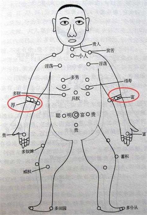 手臂痣图解|胳膊上有痣代表什么 胳膊不同位置痣相解析——天玄网